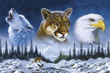 Poster - American wild life Enmarcado de laminas